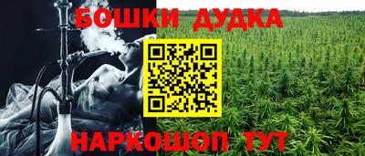 индика Краснознаменск