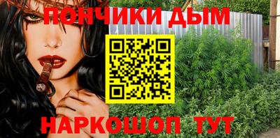индика Краснознаменск